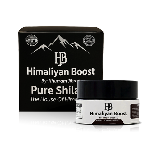هيماليان بوست شيلاجيت - معزز للطاقة والحيوية الطبيعية 20 جرام